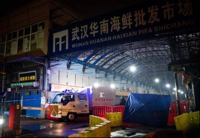 Cientistas mostram que animais vendidos em Wuhan são fonte da crise de covid-19 